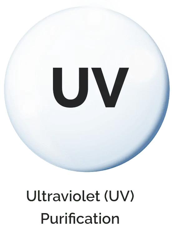 UF